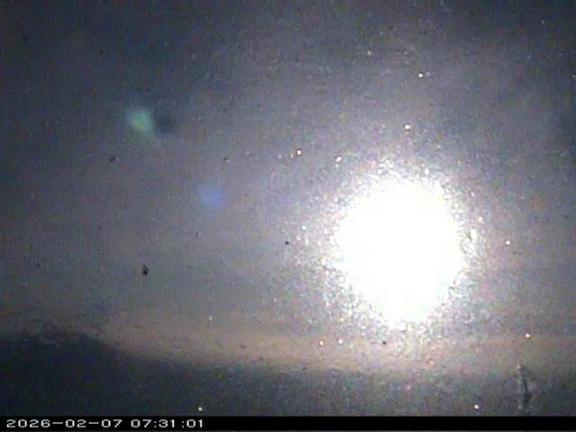 Snapshot from 2026_02_07_09_31.webp