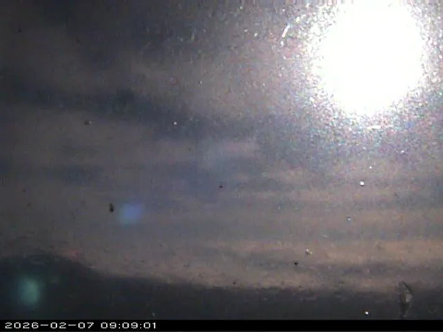 Snapshot from 2026_02_07_11_09.webp