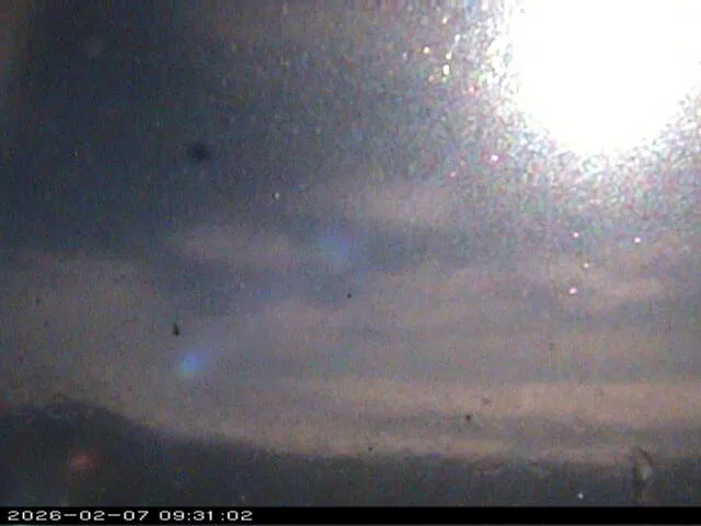 Snapshot from 2026_02_07_11_31.webp