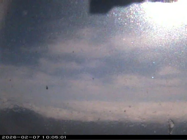 Snapshot from 2026_02_07_12_05.webp