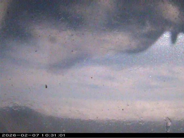 Snapshot from 2026_02_07_12_31.webp