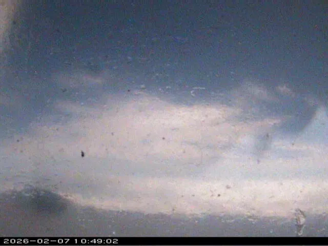 Snapshot from 2026_02_07_12_49.webp