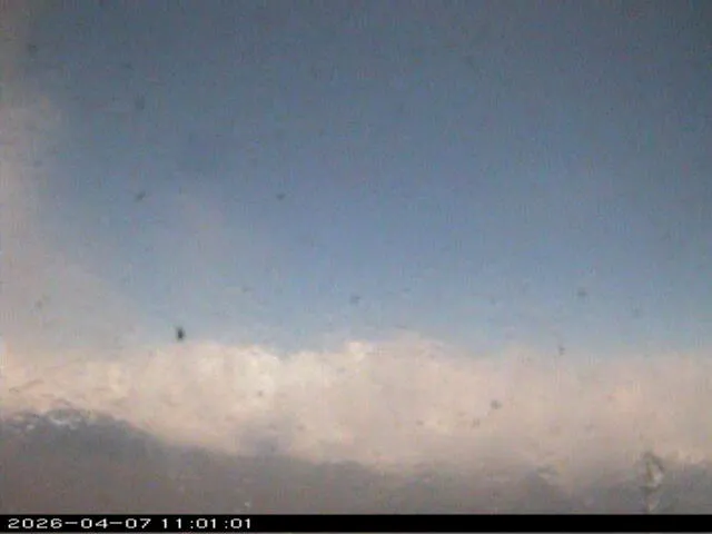 Snapshot from 2026_04_07_14_01.webp