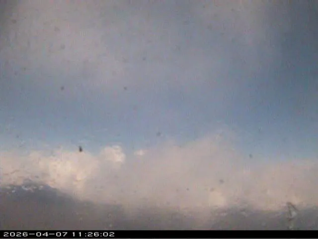 Snapshot from 2026_04_07_14_26.webp