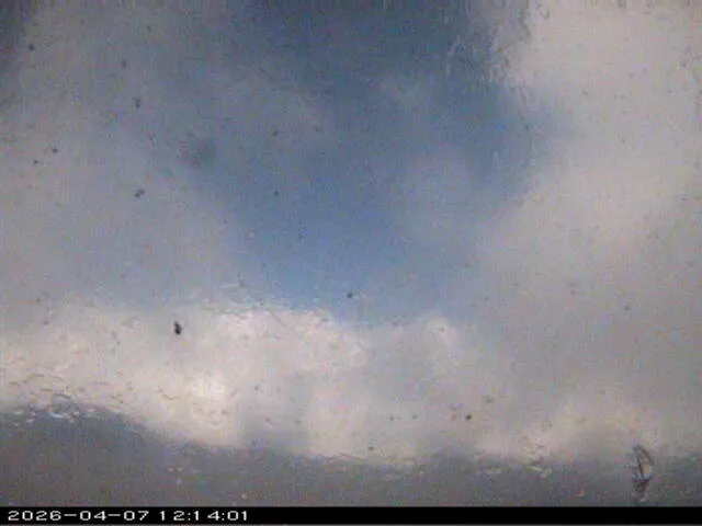 Snapshot from 2026_04_07_15_14.webp