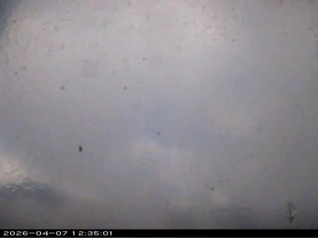 Snapshot from 2026_04_07_15_35.webp