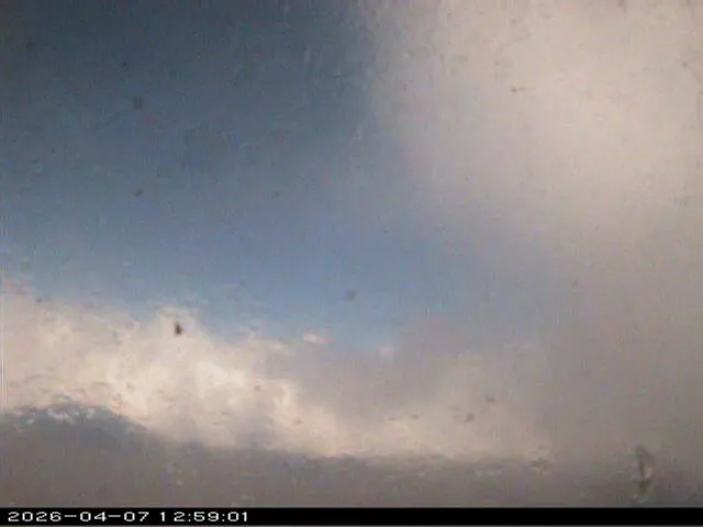 Snapshot from 2026_04_07_15_59.webp