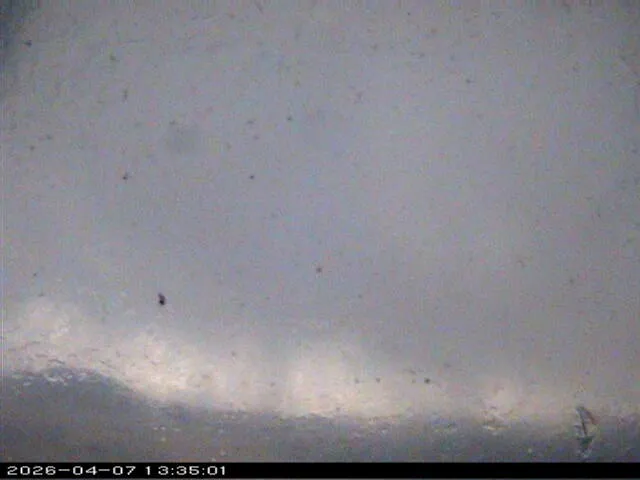 Snapshot from 2026_04_07_16_35.webp