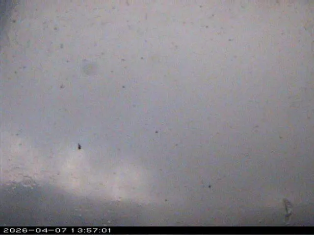 Snapshot from 2026_04_07_16_57.webp