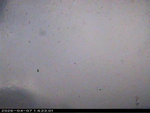 Snapshot from 2026_04_07_17_23.webp