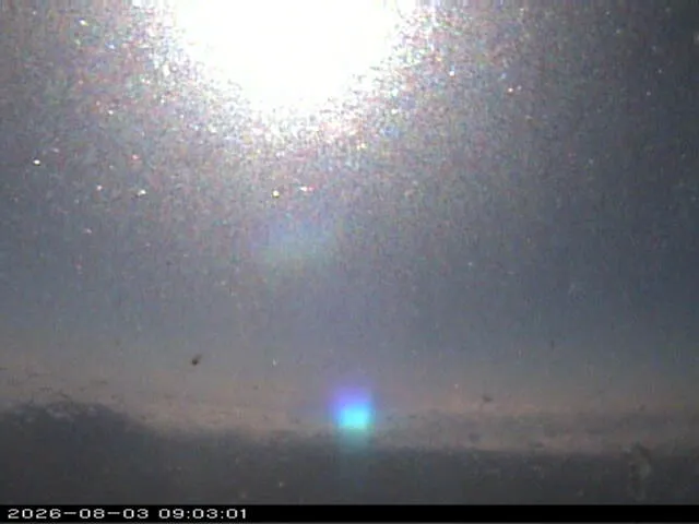 Snapshot from 2026_08_03_12_03.webp