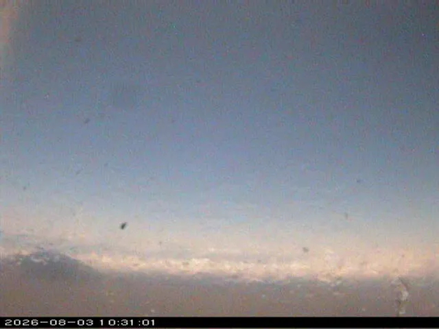 Snapshot from 2026_08_03_13_31.webp