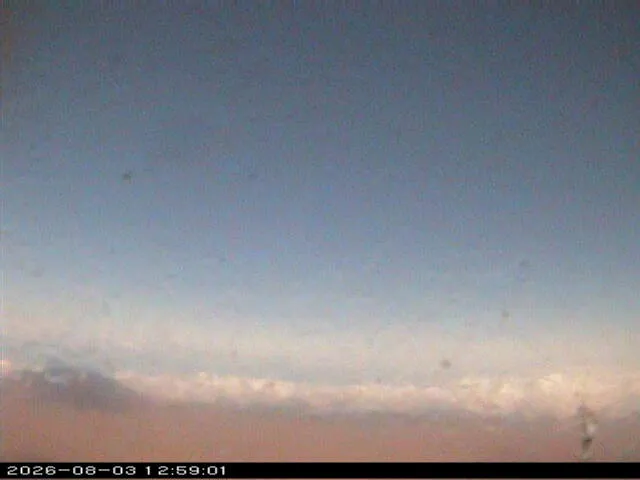 Snapshot from 2026_08_03_15_59.webp