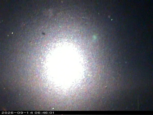 Snapshot from 2026_09_14_09_46.webp