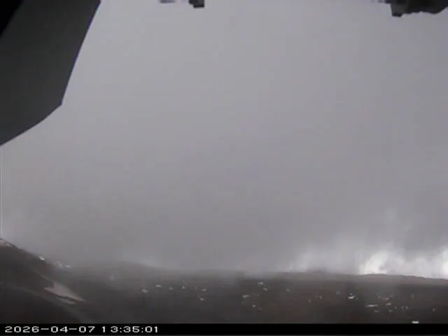 Snapshot from 2026_04_07_16_35.webp