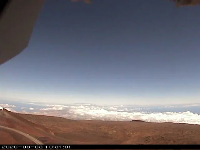 Snapshot from 2026_08_03_13_31.webp