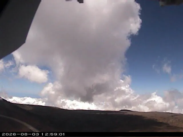 Snapshot from 2026_08_03_15_59.webp