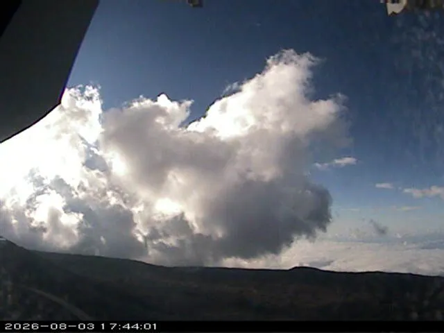 Snapshot from 2026_08_03_20_44.webp