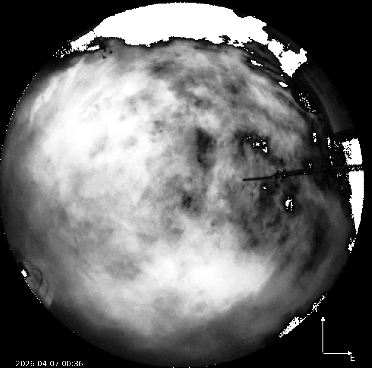 Snapshot from 2026_04_07_15_35.webp