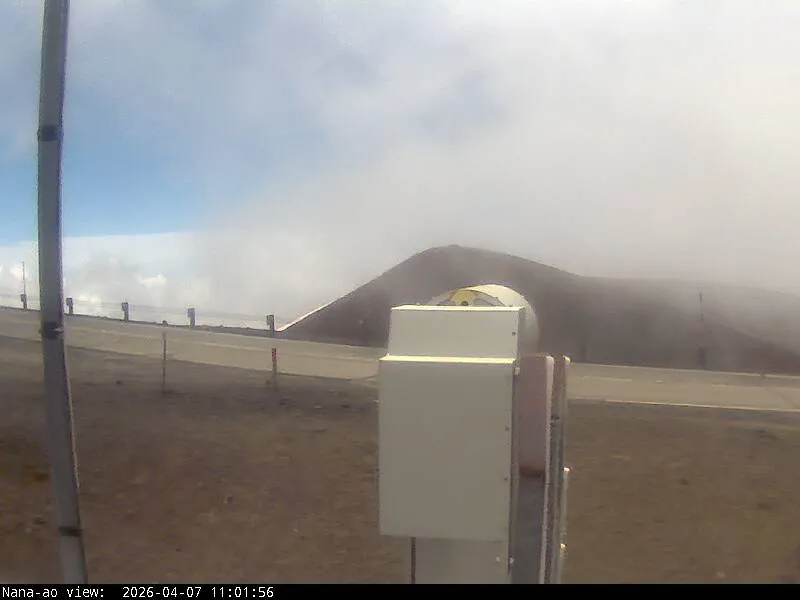 Snapshot from 2026_04_07_14_01.webp