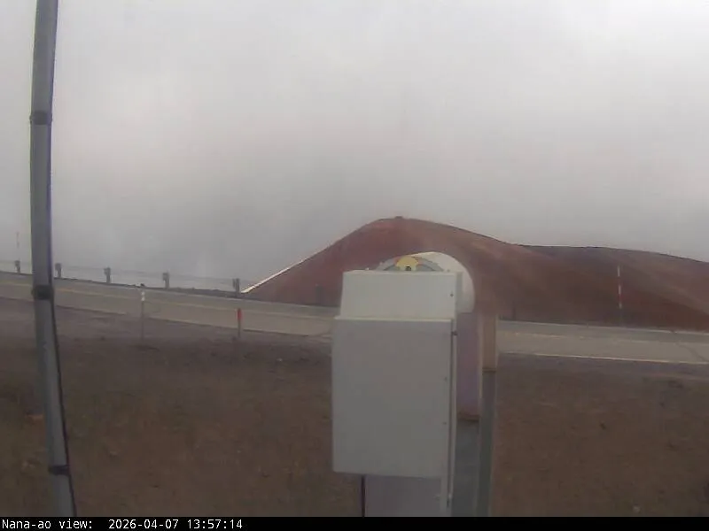 Snapshot from 2026_04_07_16_57.webp