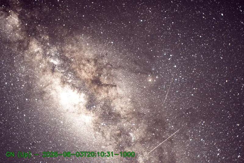 Snapshot from 2026_08_03_23_20.webp