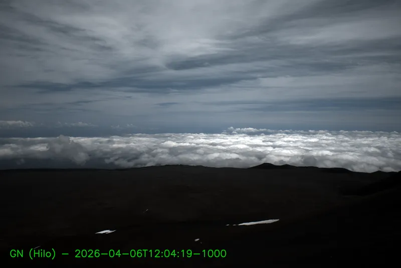 Snapshot from 2026_04_06_15_12.webp