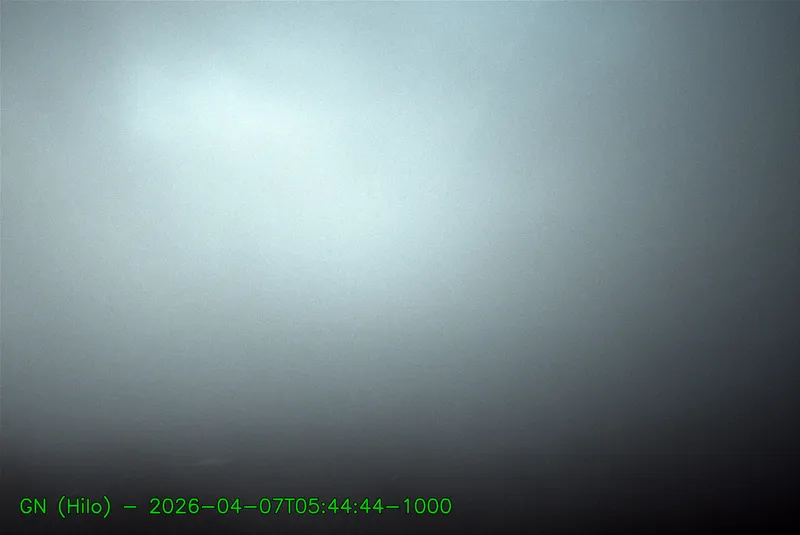 Snapshot from 2026_04_07_08_52.webp