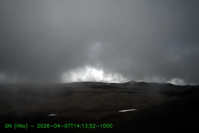 Snapshot from 2026_04_07_17_23.webp