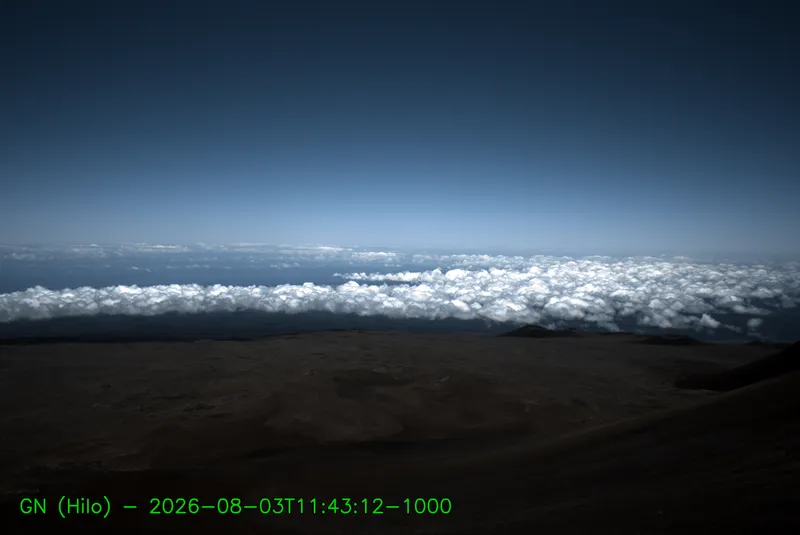 Snapshot from 2026_08_03_14_49.webp