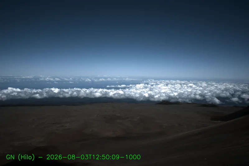 Snapshot from 2026_08_03_15_59.webp