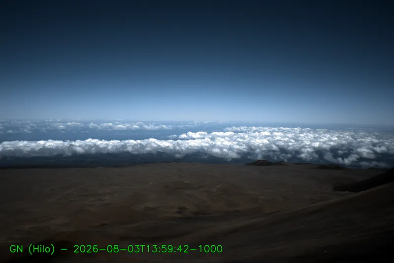 Snapshot from 2026_08_03_17_07.webp