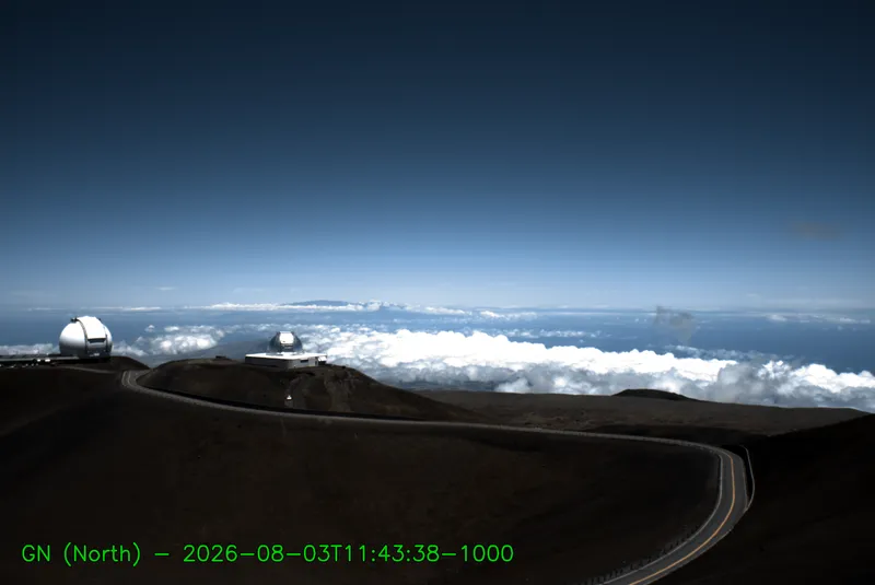 Snapshot from 2026_08_03_14_49.webp