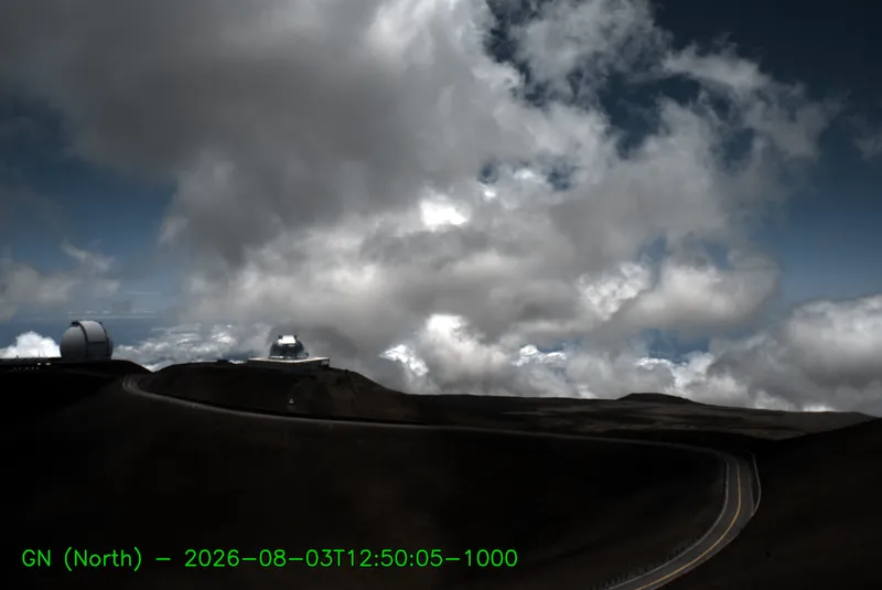 Snapshot from 2026_08_03_15_59.webp