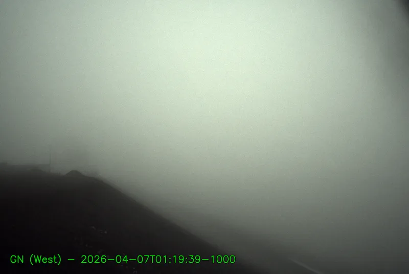 Snapshot from 2026_04_07_04_30.webp