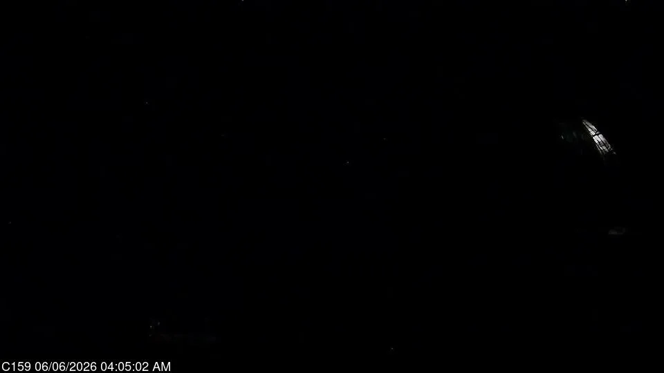 Snapshot from 2026_06_06_07_04.webp