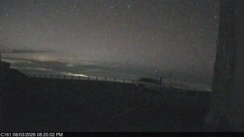 Snapshot from 2026_08_03_23_20.webp