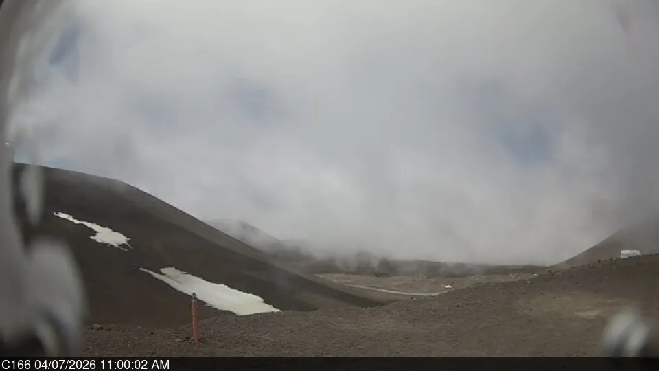 Snapshot from 2026_04_07_14_01.webp