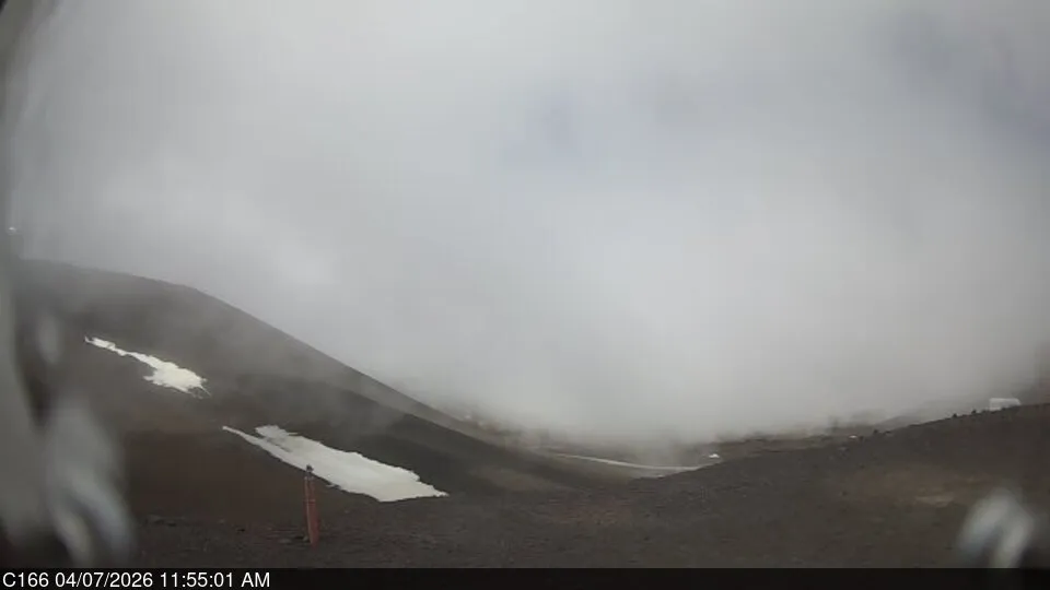 Snapshot from 2026_04_07_14_58.webp