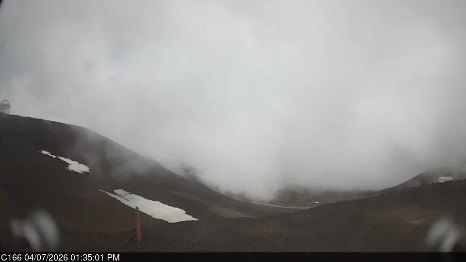 Snapshot from 2026_04_07_16_35.webp