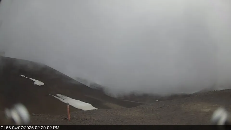 Snapshot from 2026_04_07_17_23.webp