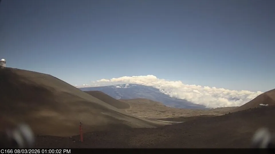 Snapshot from 2026_08_03_15_59.webp