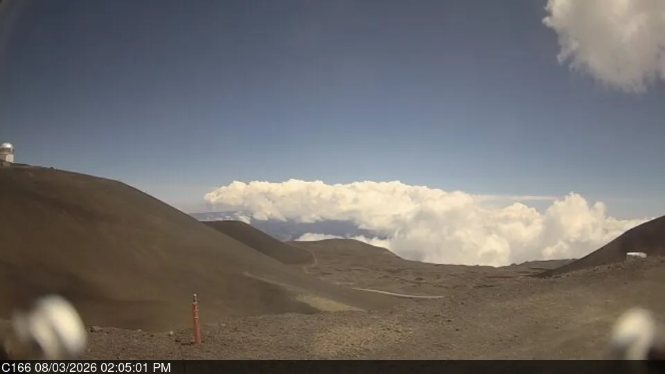 Snapshot from 2026_08_03_17_07.webp