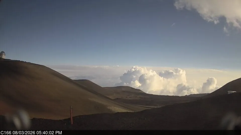 Snapshot from 2026_08_03_20_44.webp