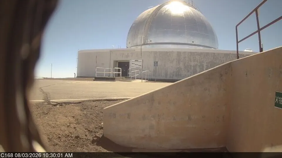 Snapshot from 2026_08_03_13_31.webp