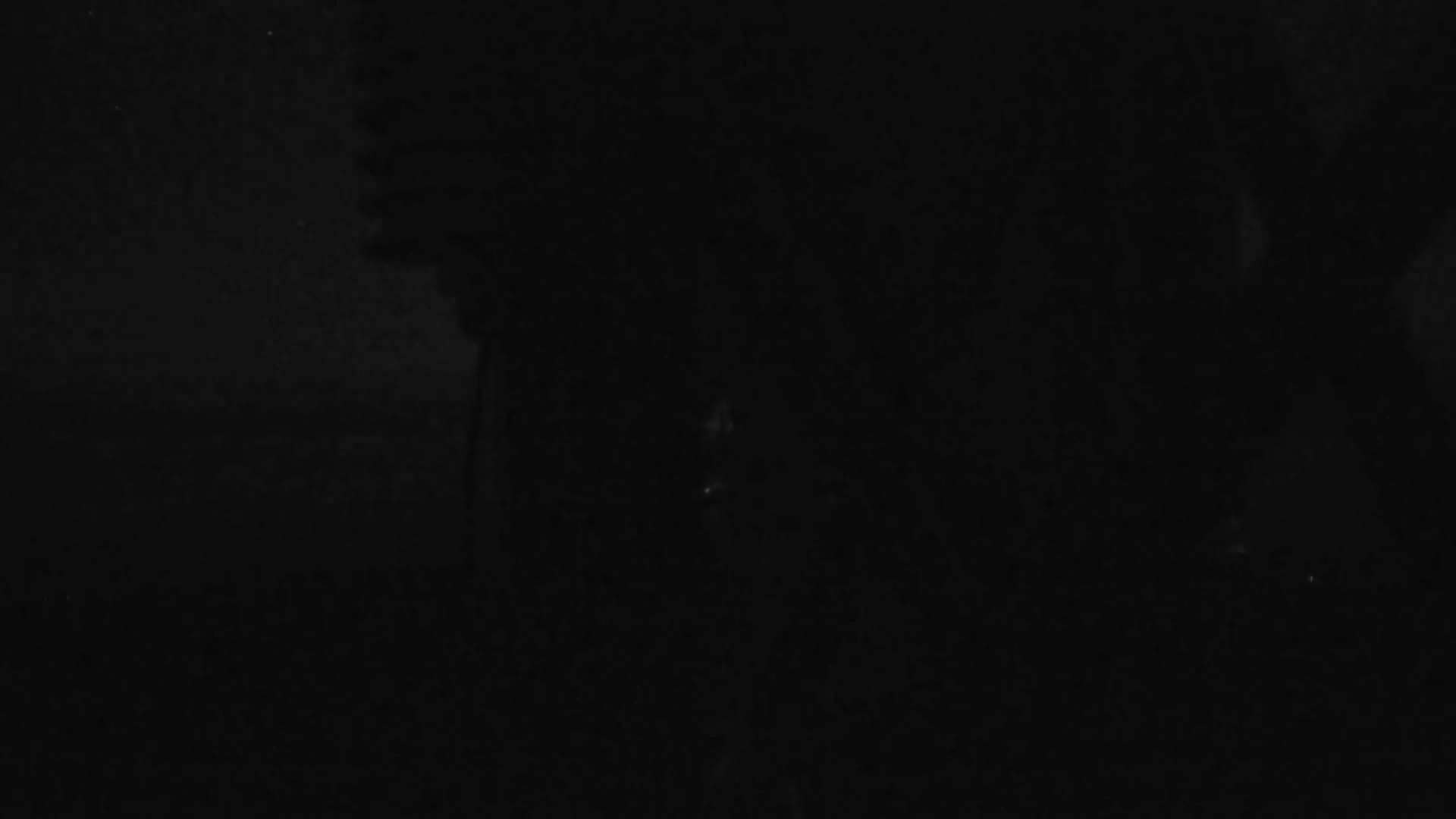 Snapshot from 2026_06_06_02_34.webp