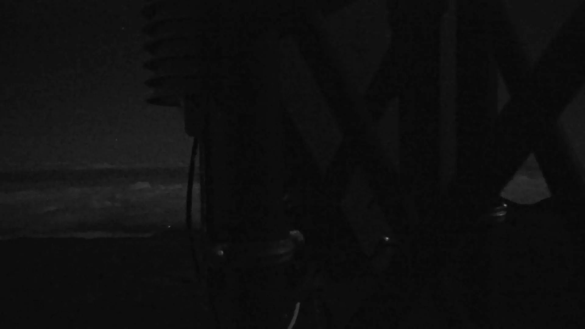 Snapshot from 2026_06_06_04_52.webp