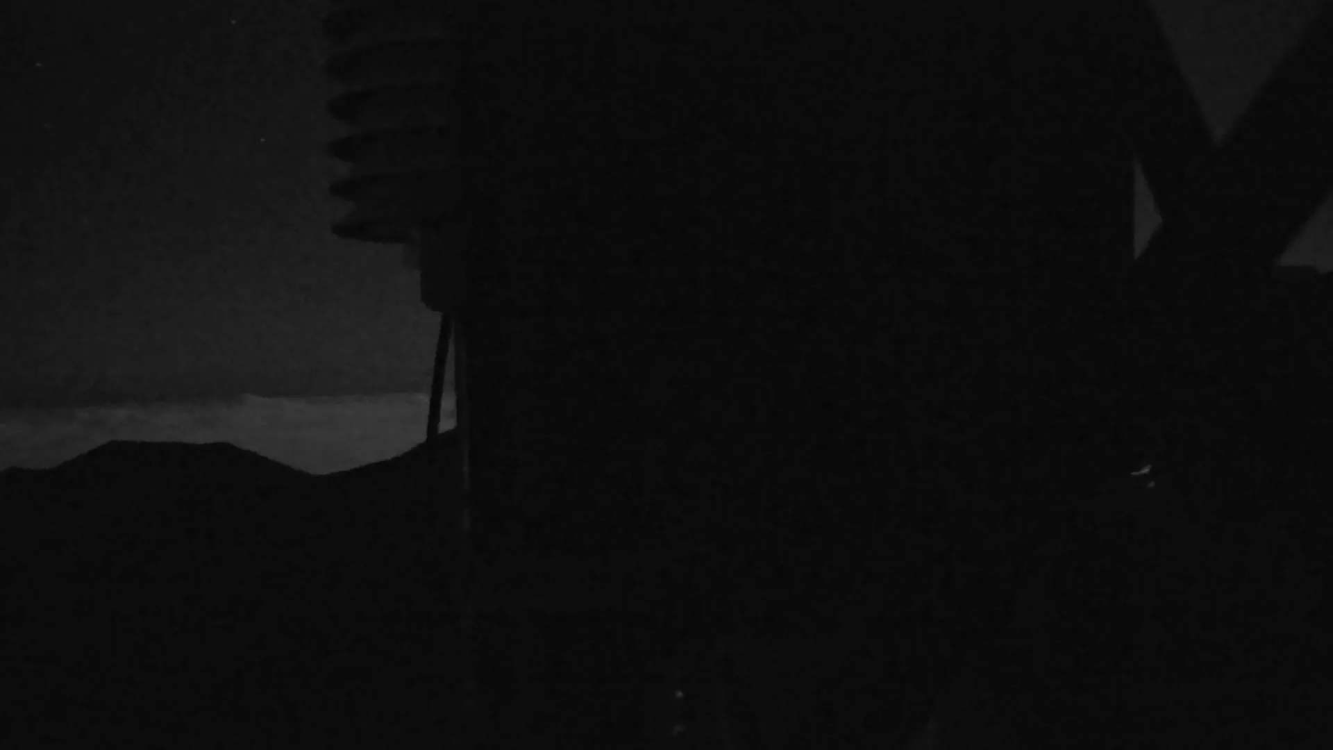 Snapshot from 2026_06_06_05_29.webp