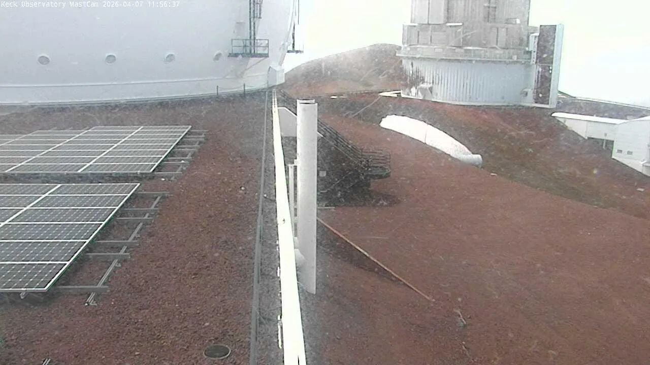 Snapshot from 2026_04_07_14_58.webp