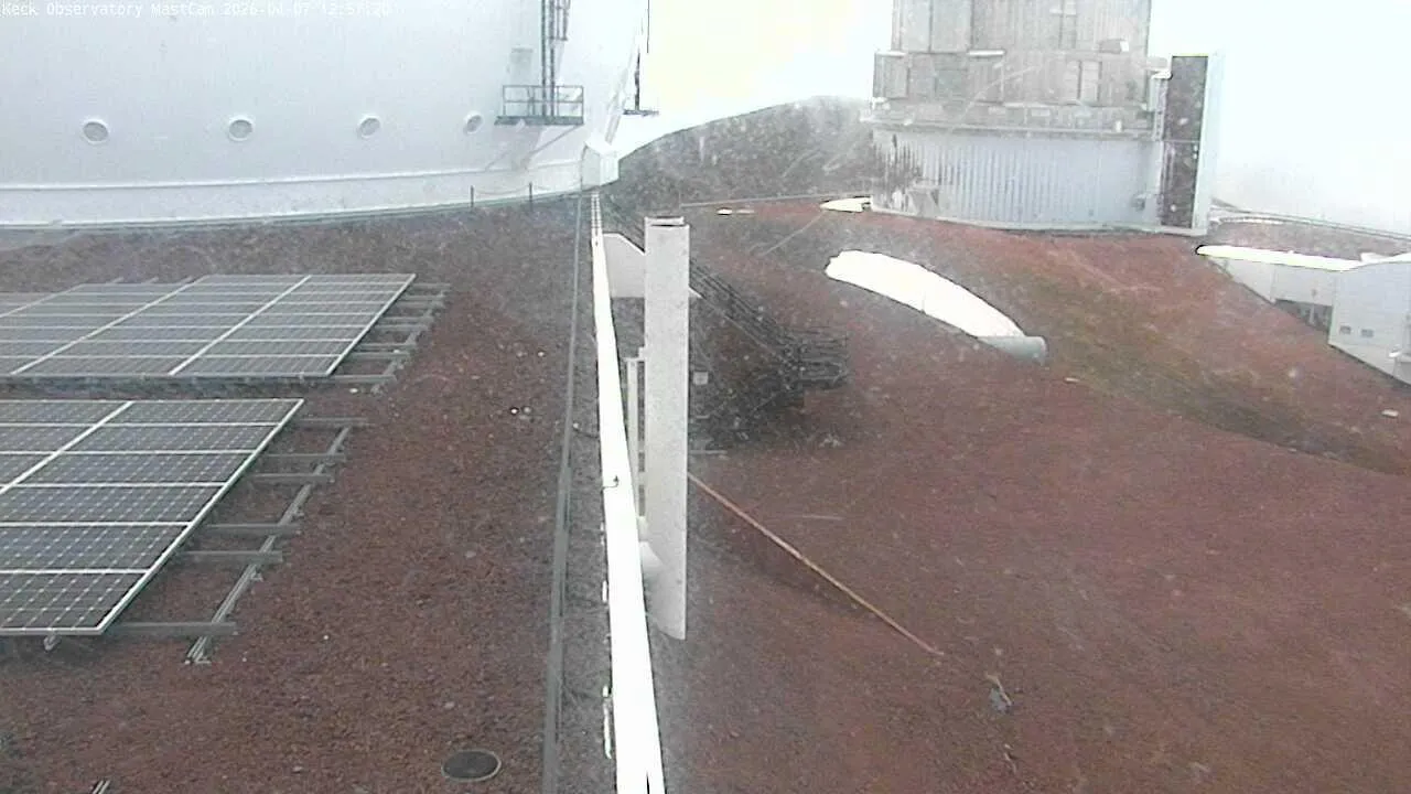 Snapshot from 2026_04_07_15_59.webp